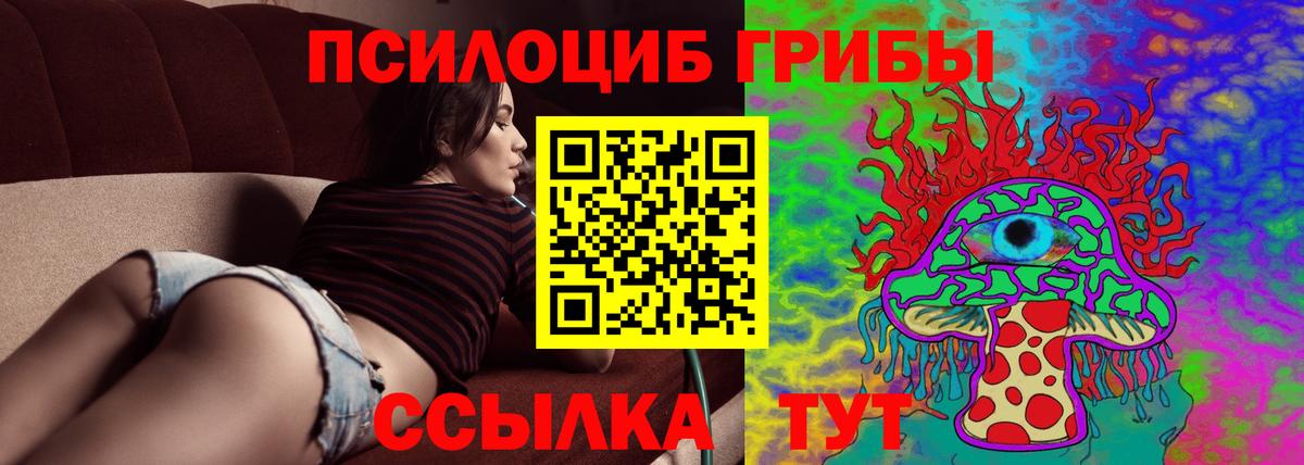 Галлюциногенные грибы мицелий  Вход с VPN  Орехово-Зуево 
